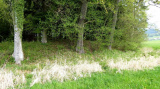 Wall im Süden